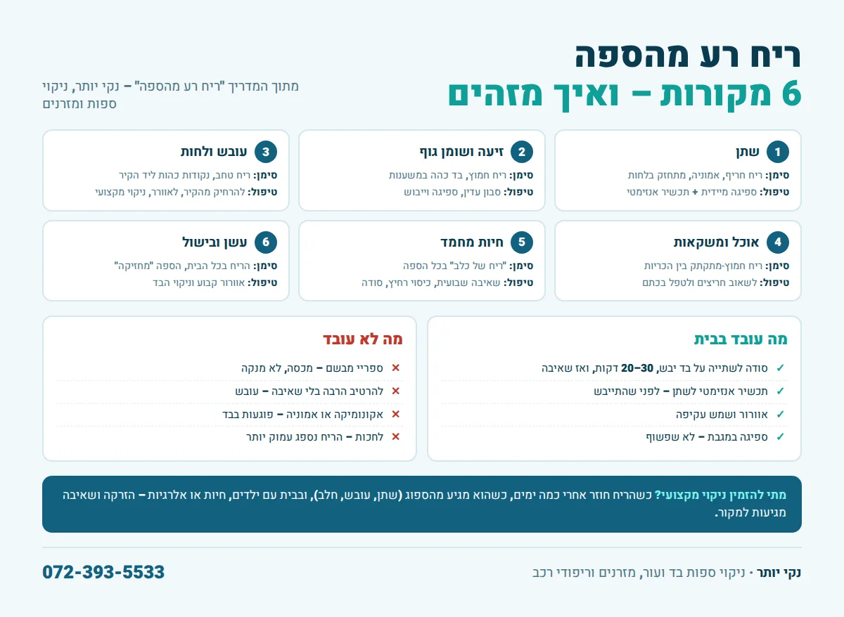 אינפוגרפיקה: 6 מקורות לריח רע בספה, סימנים וטיפול, מה עובד בבית ומה לא, ומתי להזמין ניקוי מקצועי